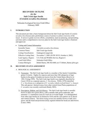 RECOVERY OUTLINE for the Salt Creek Tiger Beetle (Cicindela Nevadica Lincolniana)