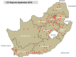 131 Reports September 2019