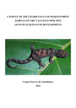 A SURVEY of the LIZARD FAUNA of MAQUIS FOREST HABITAT on the VALE INCO MINE SITE (10 to 20 YEAR PLAN of DEVELOPMENT) Cygnet