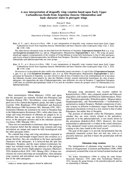 A New Interpretation of Dragonfly Wing Venation Based Upon Early Upper