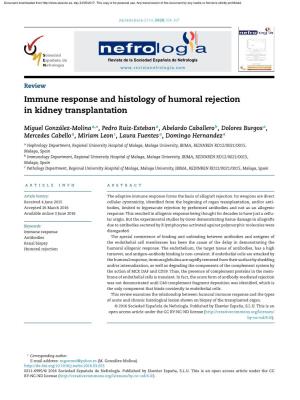 Immune Response and Histology of Humoral Rejection in Kidney