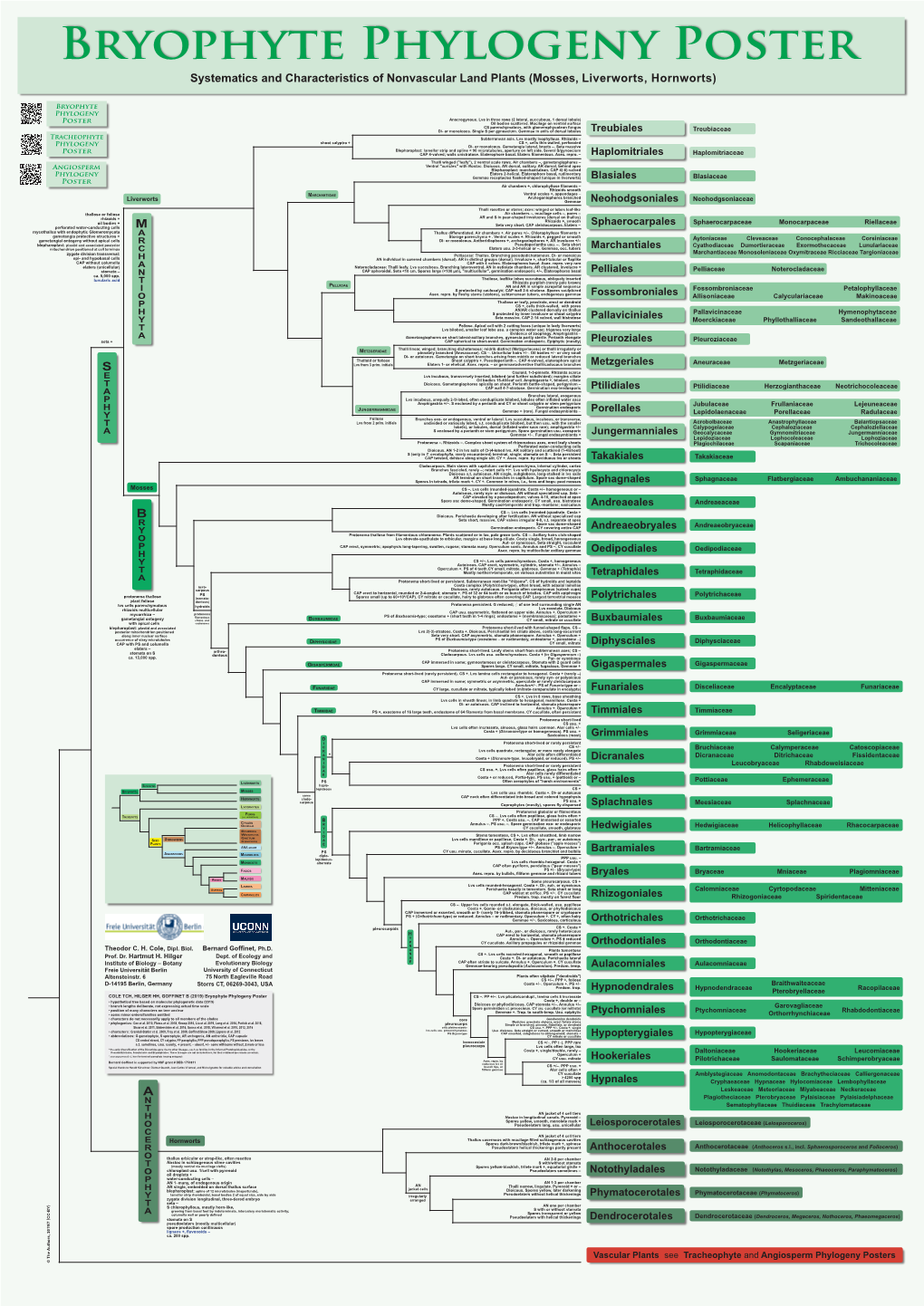 Mosses, Liverworts, Hornworts)