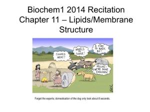 Biochem1 2014 Recitation Chapter 11 – Lipids/Membrane Structure