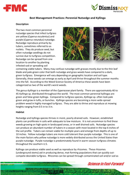 Best Management Practices: Perennial Nutsedge and Kyllinga