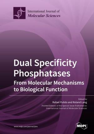Dual Specificity Phosphatases from Molecular Mechanisms to Biological Function