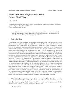 Some Problems of Quantum Group Gauge Field Theory