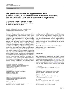The Genetic Structure of the Loggerhead Sea Turtle (Caretta