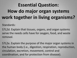 Essential Question: How Do Major Organ Systems Work Together in Living Organisms?