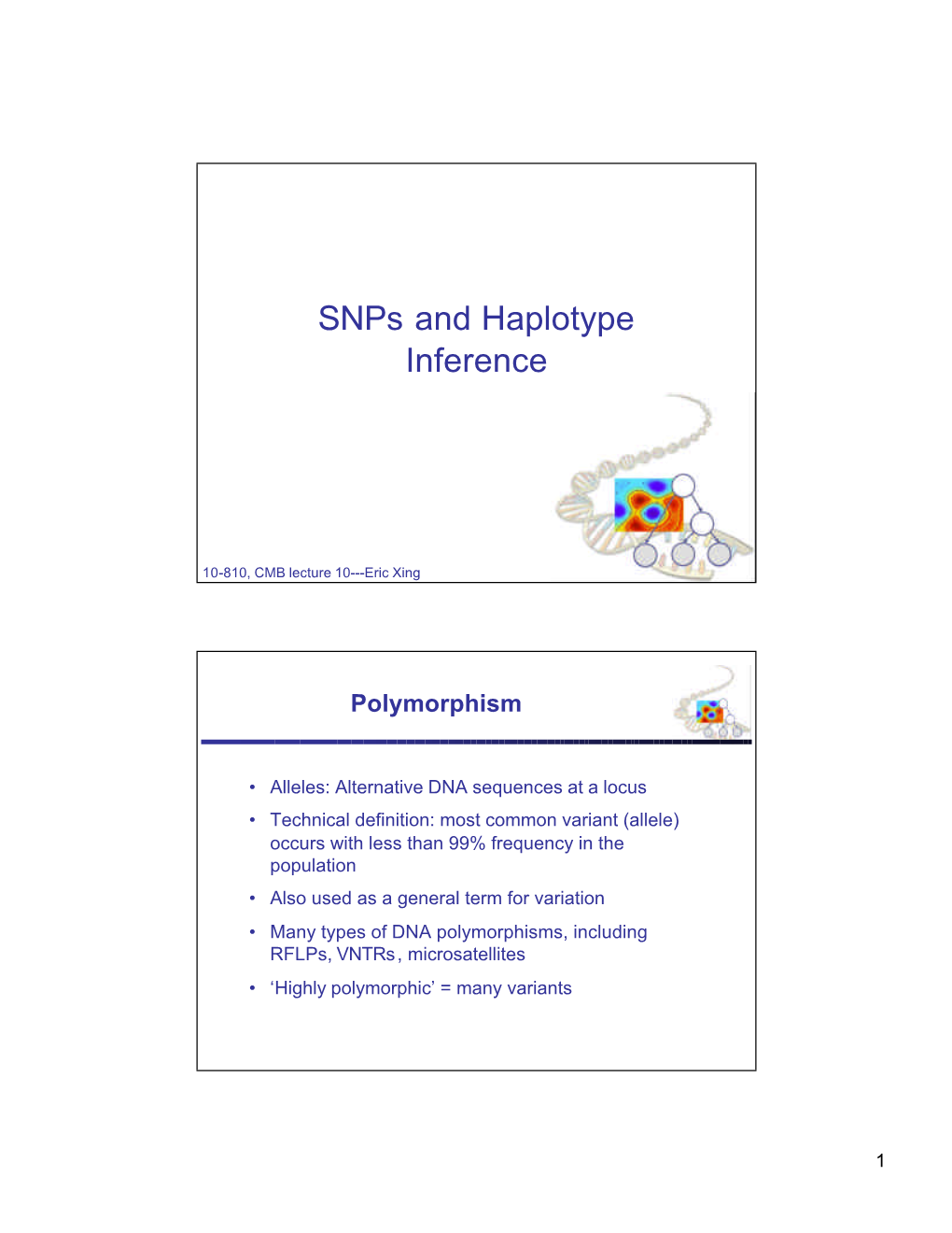 Snps and Haplotype Inference