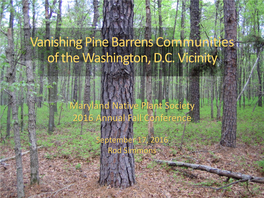 Vanishing Pine Barrens of the Washington DC Vicinity