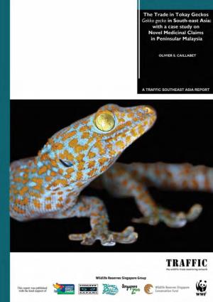 The Trade in Tokay Geckos in South-East Asia