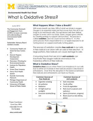 What Is Oxidative Stress?