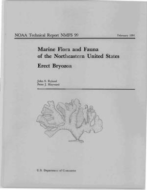 Marine Flora and Fauna of the Northeastern United States Erect Bryozoa