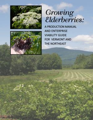 Growing Elderberries: a PRODUCTION MANUAL and ENTERPRISE VIABILITY GUIDE for VERMONT and the NORTHEAST