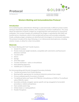 P Western Blotting and Immunodetection Protocol Western