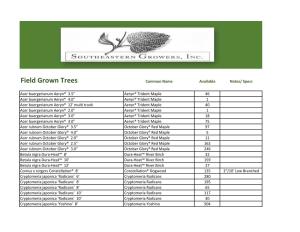 Field Grown Trees Common Name Available Notes/ Specs