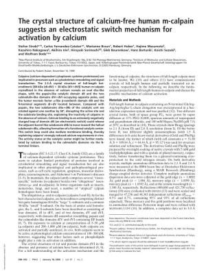 The Crystal Structure of Calcium-Free Human M-Calpain Suggests an Electrostatic Switch Mechanism for Activation by Calcium