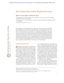 The Centrosome and Its Duplication Cycle