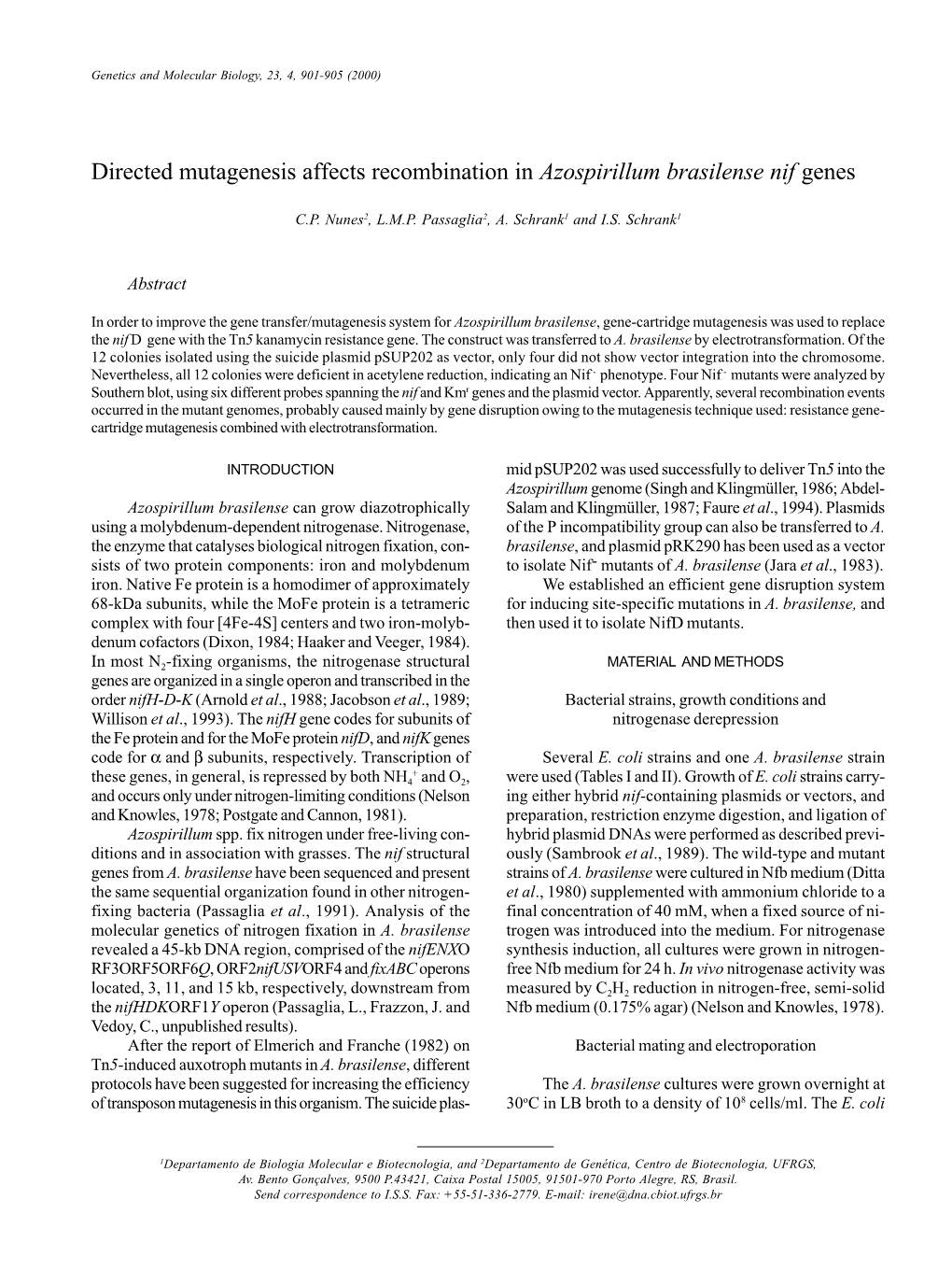 Directed Mutagenesis Affects Recombination in Azospirillum Brasilense Nif Genes