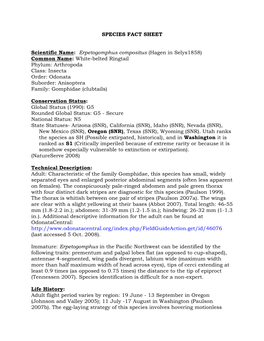 SPECIES FACT SHEET Scientific Name: Erpetogomphus Compositus