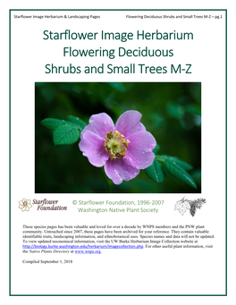 Starflower Image Herbarium Flowering Deciduous Shrubs and Small Trees M-Z