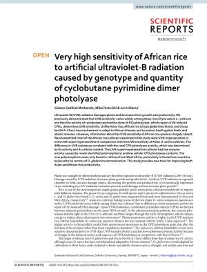 Very High Sensitivity of African Rice to Artificial Ultraviolet-B Radiation