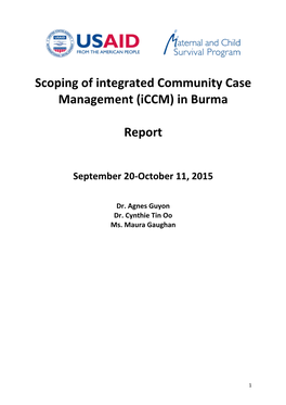 Scoping of Integrated Community Case Management (Iccm) in Burma