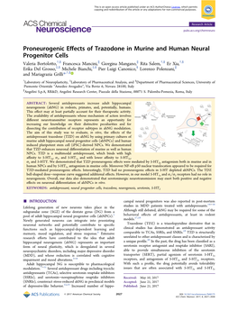 Proneurogenic Effects of Trazodone in Murine and Human Neural