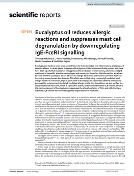 Eucalyptus Oil Reduces Allergic Reactions and Suppresses Mast Cell