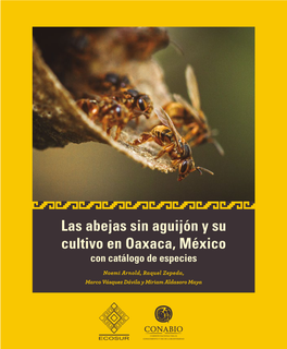 Las Abejas Sin Aguijón Y Su Cultivo En Oaxaca, México Con Catálogo De Especies
