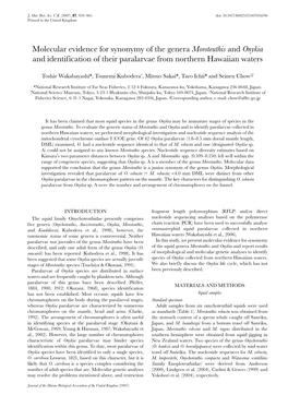 Onykia and Identification of Their Paralarvae from Northern Hawaiian Waters