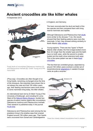Ancient Crocodiles Ate Like Killer Whales 19 September 2012