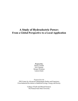 A Study of Hydroelectric Power: from a Global Perspective to a Local Application