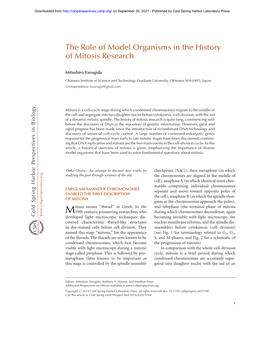 The Role of Model Organisms in the History of Mitosis Research