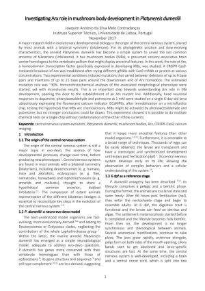 Investigating Arx Role in Mushroom Body Development in Platynereis Dumerilii