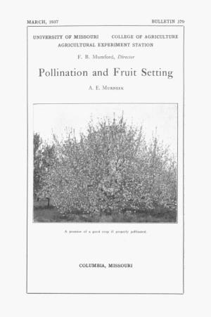Pollination and Fruit Setting