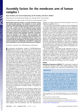 Assembly Factors for the Membrane Arm of Human Complex I