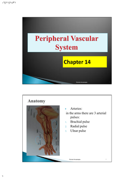 Peripheral Vascular System Examination