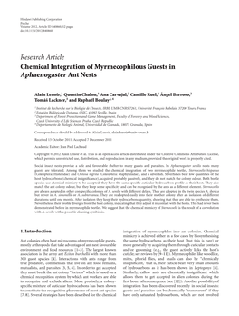 Aphaenogaster Ant Nests