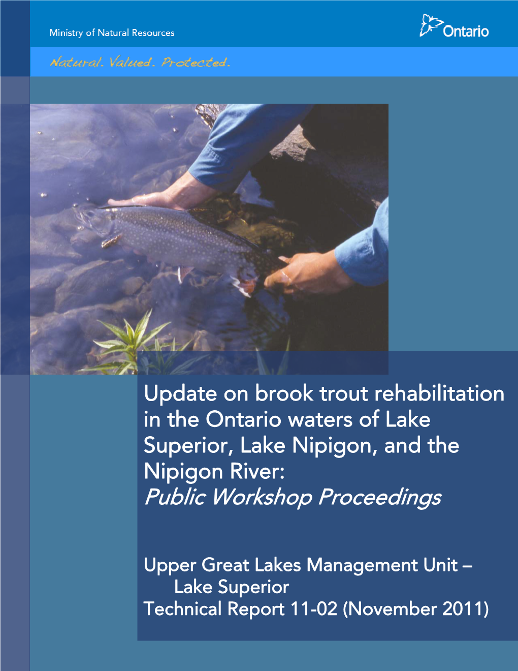 Update on Brook Trout Rehabilitation in the Ontario Waters of Lake Superior, Lake Nipigon, and the Nipigon River: Public Workshop Proceedings