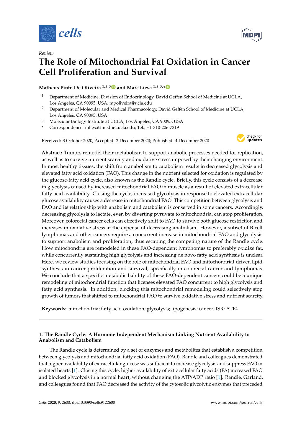 The Role of Mitochondrial Fat Oxidation in Cancer Cell Proliferation and Survival