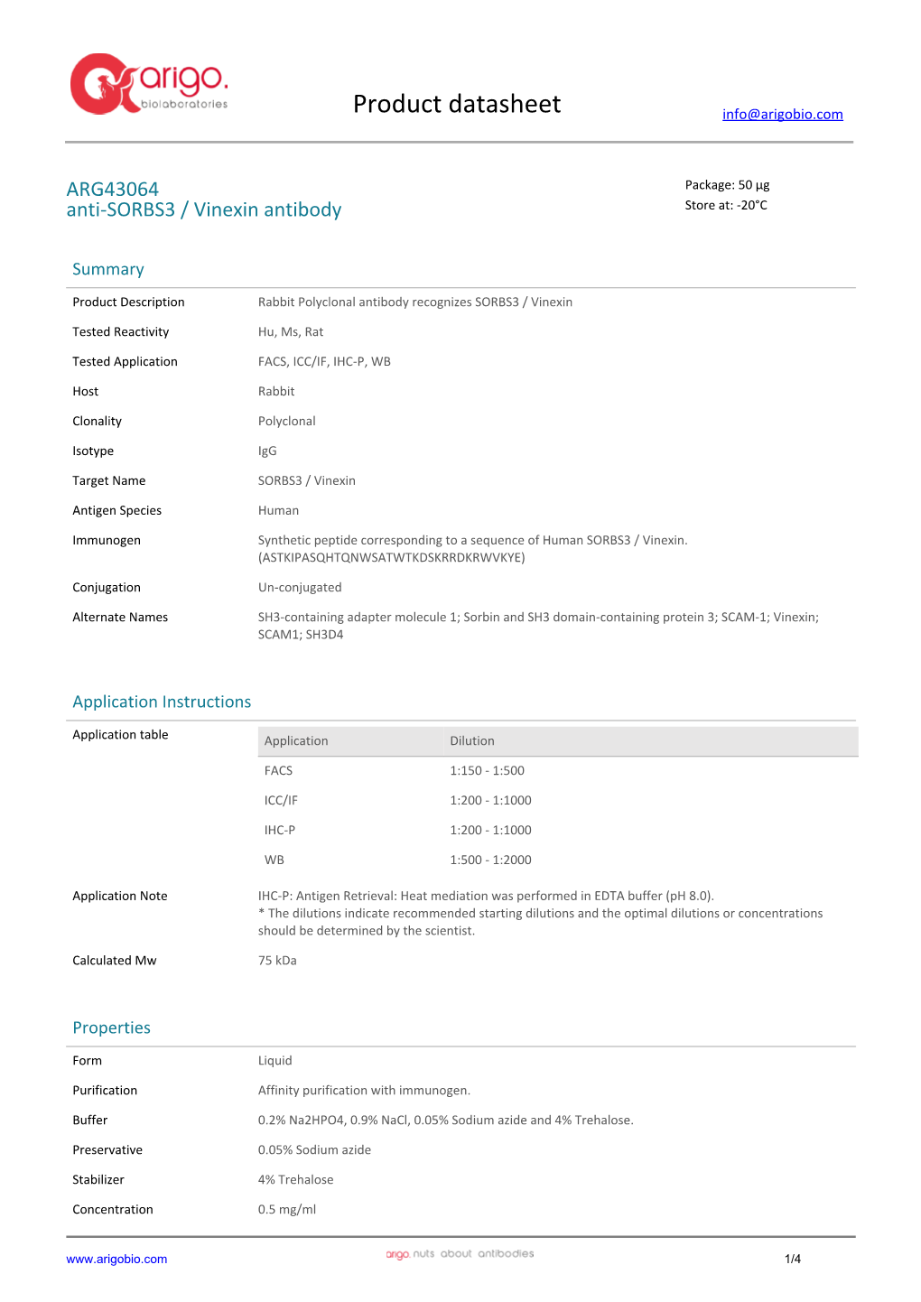 Anti-SORBS3 / Vinexin Antibody (ARG43064)