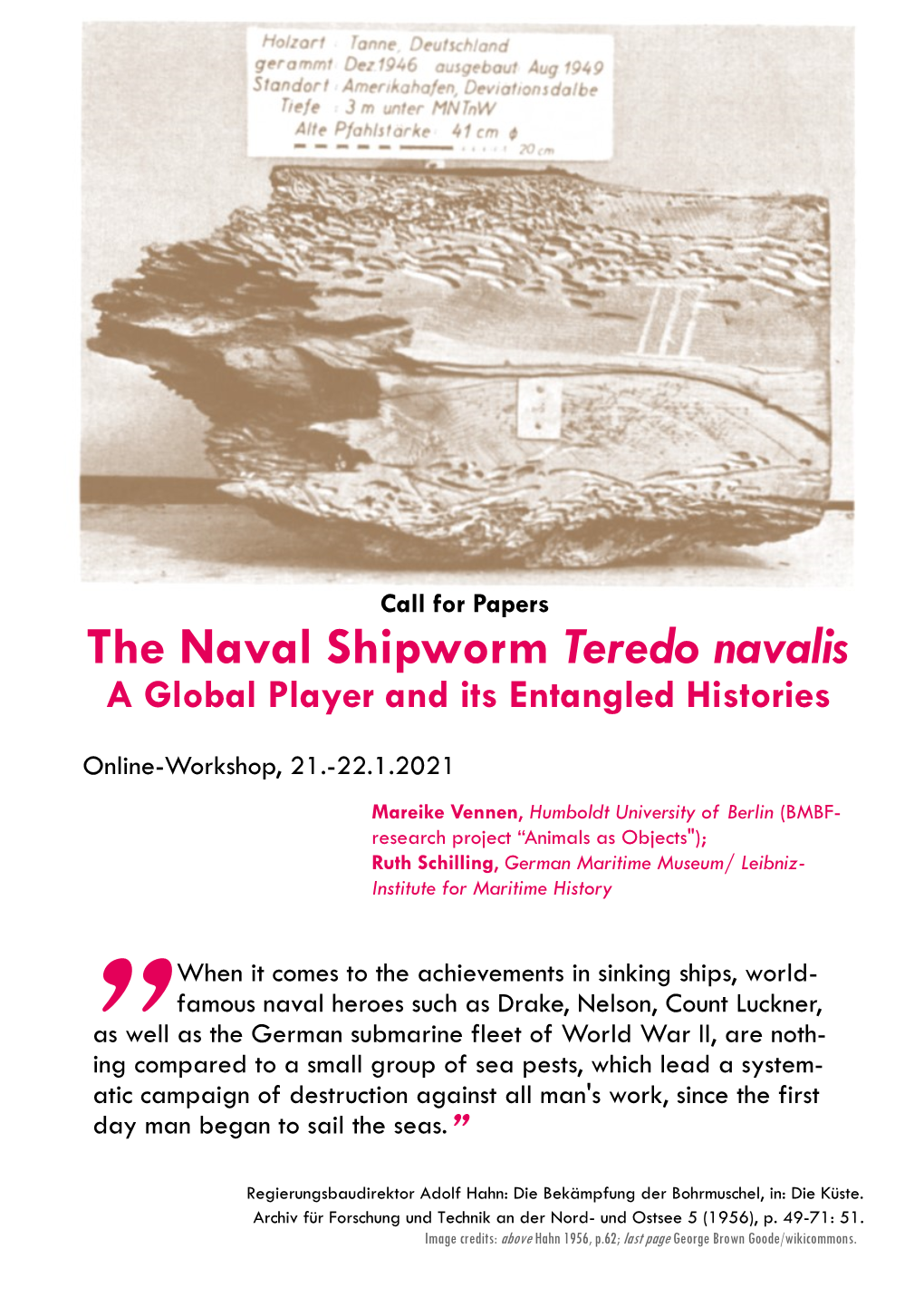 The Naval Shipworm Teredo Navalis a Global Player and Its Entangled Histories