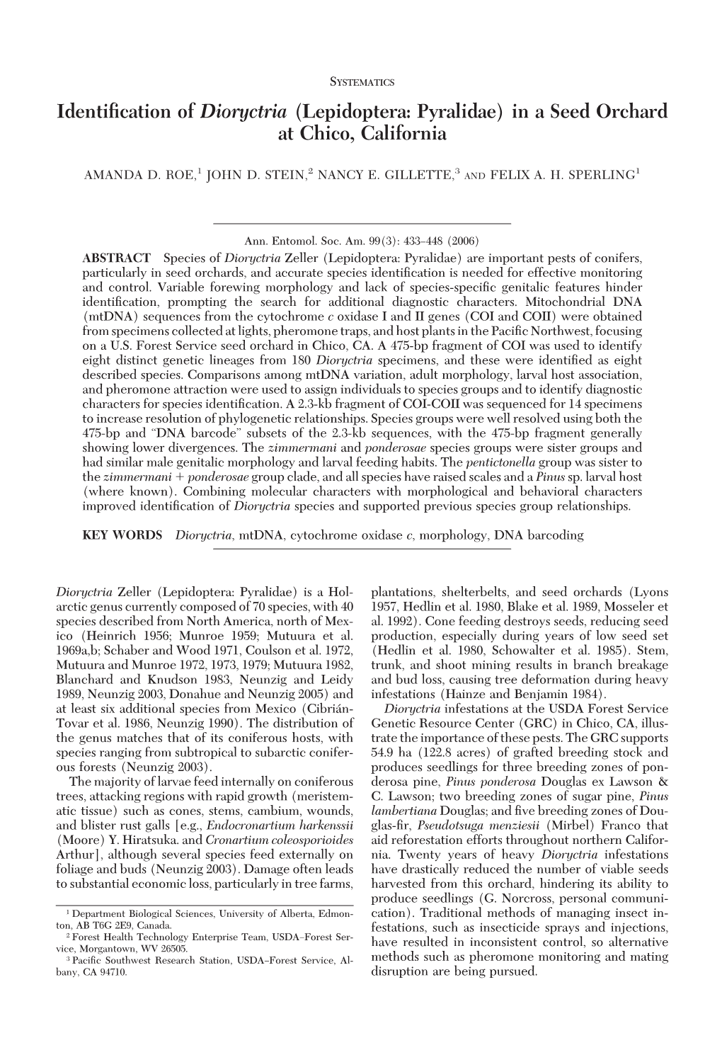 Identification of Dioryctria