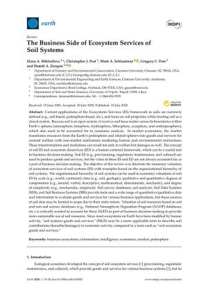 The Business Side of Ecosystem Services of Soil Systems