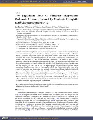 The Significant Role of Different Magnesium: Carbonate Minerals Induced by Moderate Halophile Staphylococcus Epidermis Y2