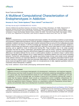 A Multilevel Computational Characterization of Endophenotypes in Addiction