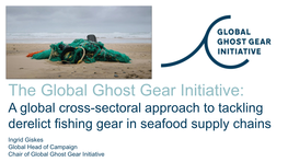 The Global Ghost Gear Initiative: a Global Cross-Sectoral Approach to Tackling Derelict Fishing Gear in Seafood Supply Chains