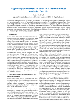 Engineering Cyanobacteria for Direct Solar Chemical and Fuel Production