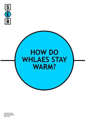 How Do Whlaes Stay Warm?